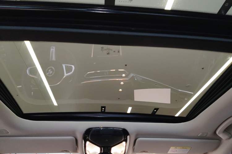 Used BMW 3 Series 2023 325Li M Sport Package Headliner