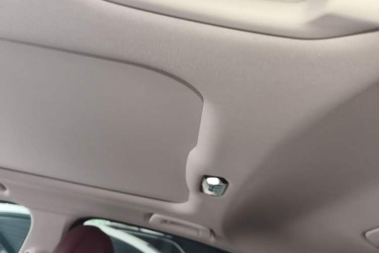 Used BMW 3 Series 2023 320Li M Sport Package Headliner