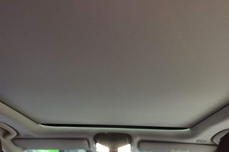 Used BMW 3 Series 2023 325Li M Sport Night Edition Package Headliner