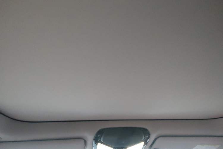 Used BMW 3 Series 2023 325Li M Sport Package Headliner