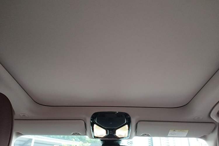 Used BMW 3 Series 2023 325Li M Sport Package Headliner