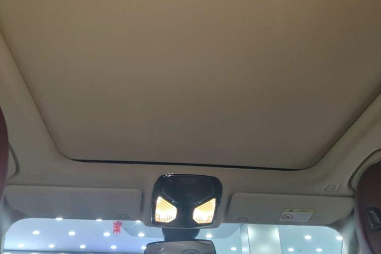 Used BMW 3 Series 2023 325Li M Sport Package Headliner