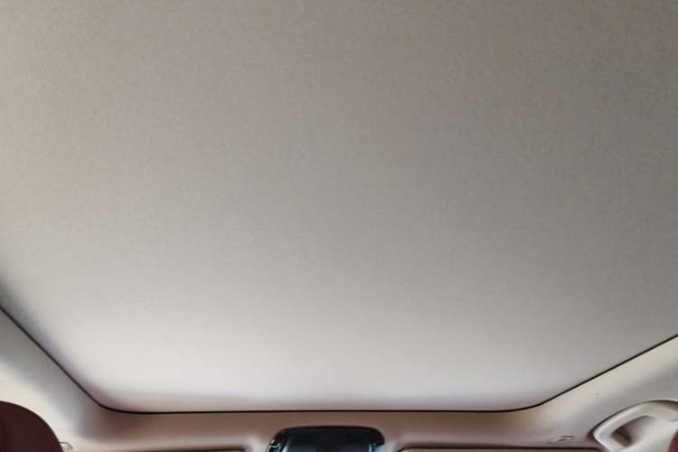 Used BMW 3 Series 2023 320Li M Sport Package Headliner