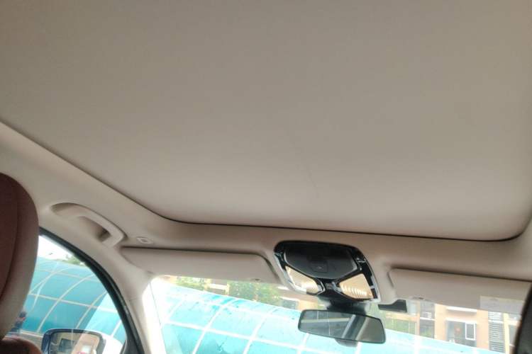 Used BMW 3 Series 2023 325Li M Sport Package Headliner