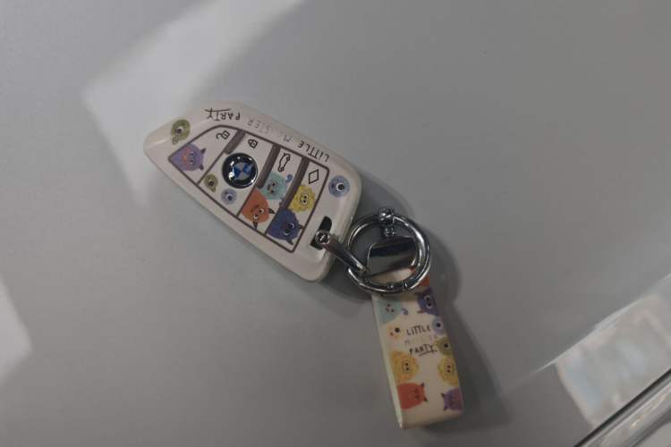 Used BMW 3 Series 2023 320Li M Sport Package Vehicle Key