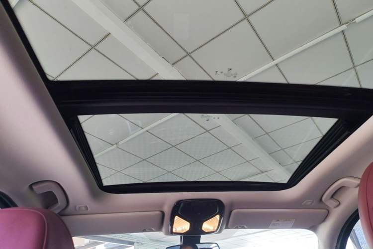Used BMW 3 Series 2024 320Li M Sport Package Headliner