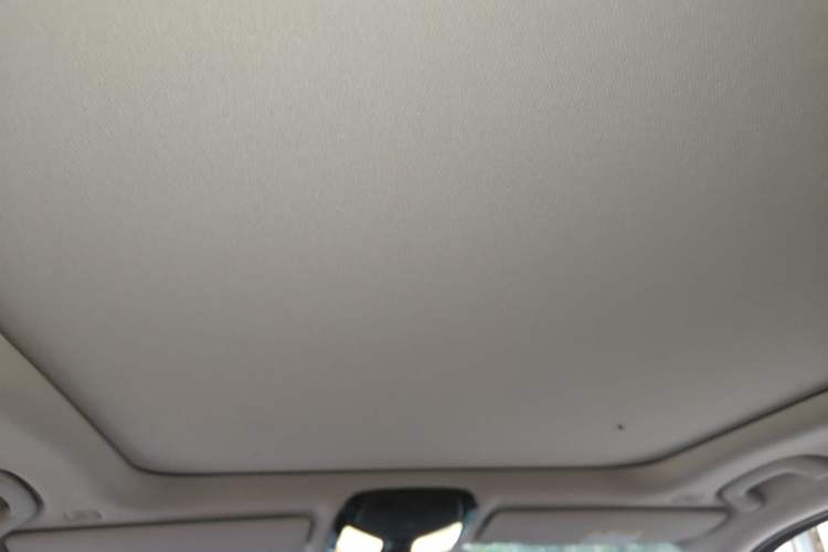 Used BMW 3 Series 2024 320Li M Sport Package Headliner