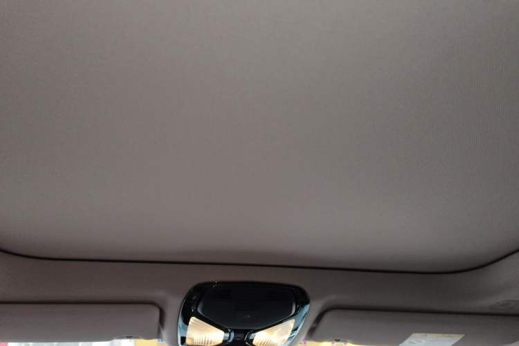Used BMW 3 Series 2024 325Li M Sport Night Edition Package Headliner