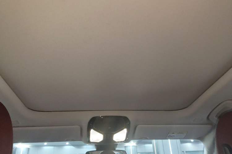 Used BMW 3 Series 2024 325Li M Sport Package Headliner