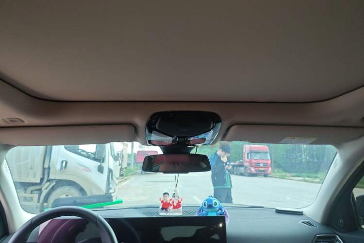 Used BMW 3 Series 2024 325Li M Sport Night Edition Package Headliner