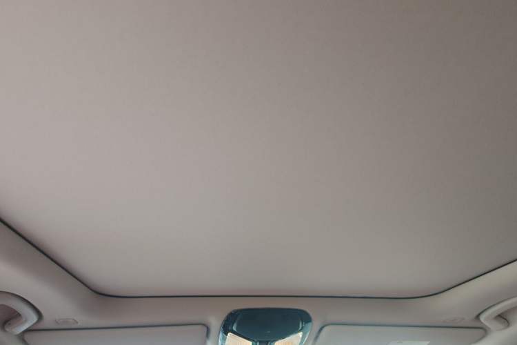 Used BMW 3 Series 2024 325Li M Sport Package Headliner