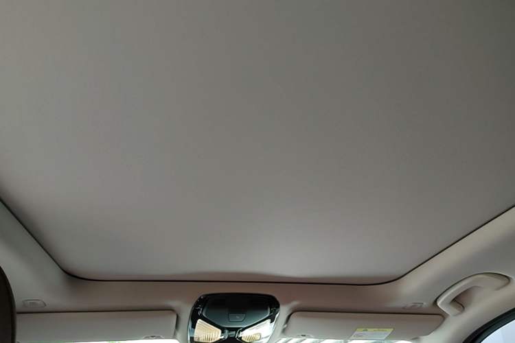 Used BMW 3 Series 2024 325Li M Sport Night Edition Package Headliner