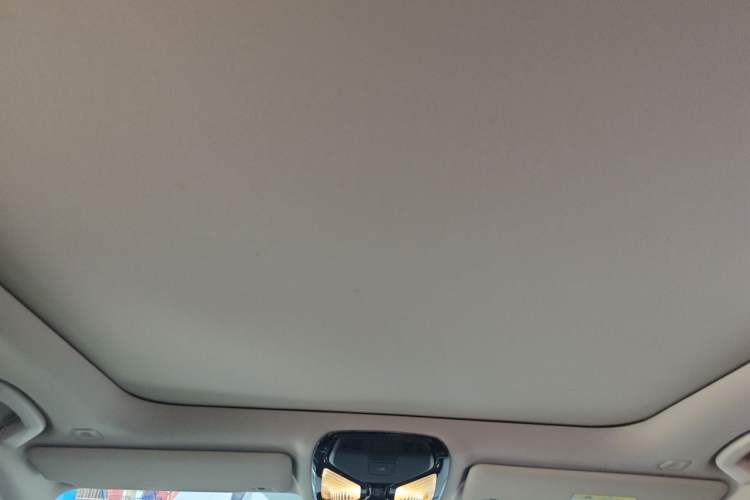 Used BMW 3 Series 2024 325Li M Sport Night Edition Package Headliner