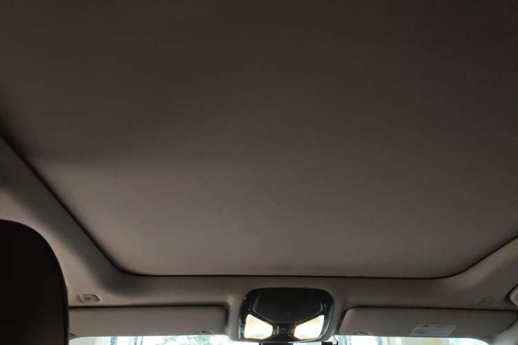 Used BMW 3 Series 2024 320Li M Sport Package Headliner
