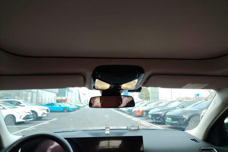 Used BMW 3 Series 2024 325Li M Sport Package Headliner