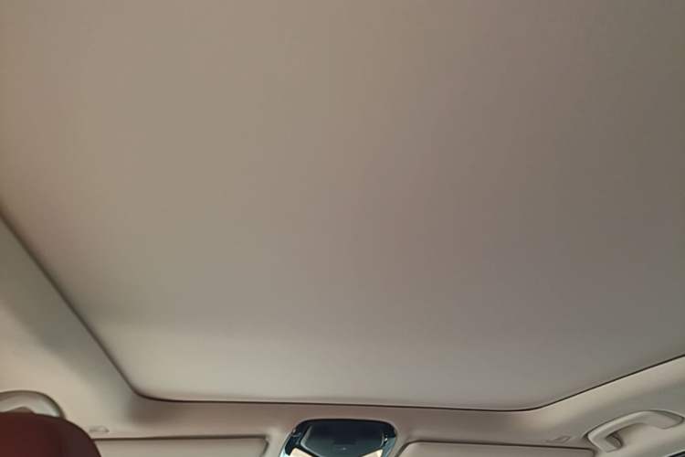 Used BMW 3 Series 2024 325Li M Sport Package Headliner
