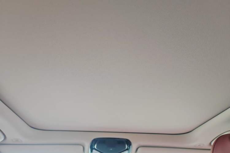 Used BMW 3 Series 2024 325Li M Sport Night Edition Package Headliner