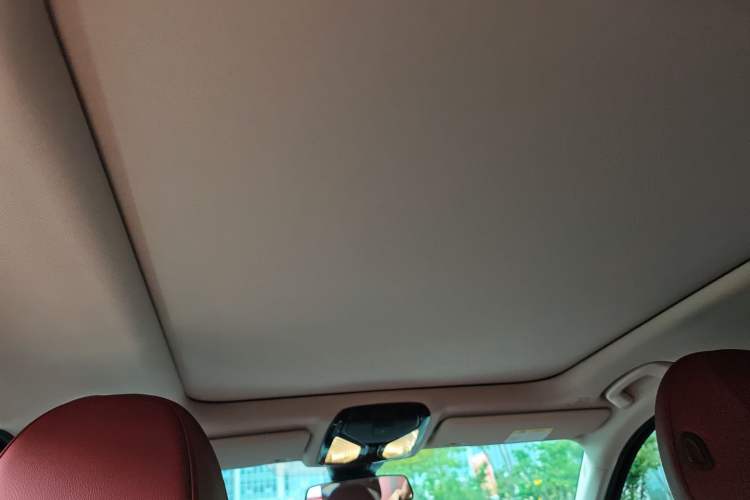 Used BMW 3 Series 2024 325Li M Sport Package Headliner