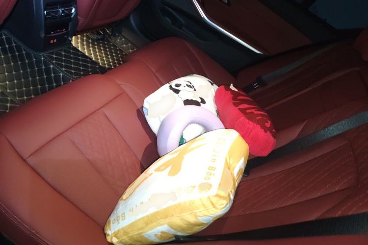 Used BMW 3 Series 2024 325Li M Sport Night Edition Package Left Rear Seat