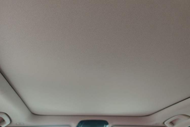 Used BMW 3 Series 2024 325Li M Sport Package Headliner