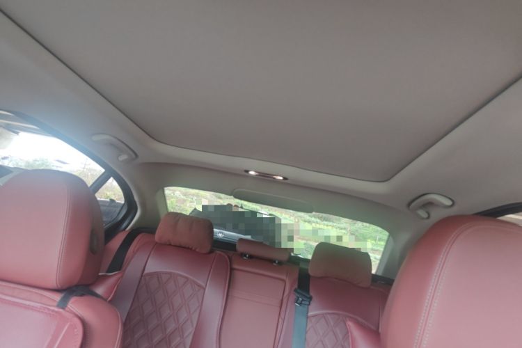 Used BMW 3 Series 2024 325Li M Sport Package Headliner