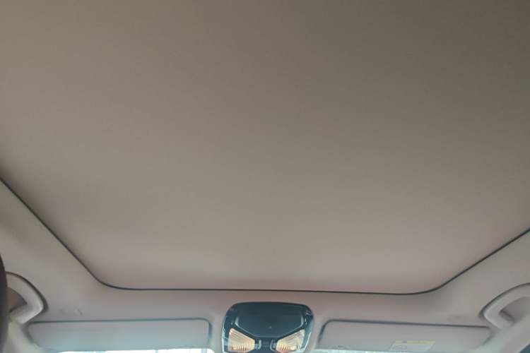Used BMW 3 Series 2024 325Li M Sport Package Headliner
