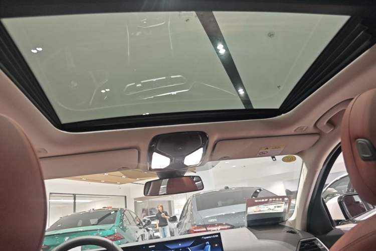 Used BMW 3 Series 2024 325Li M Sport Package Headliner