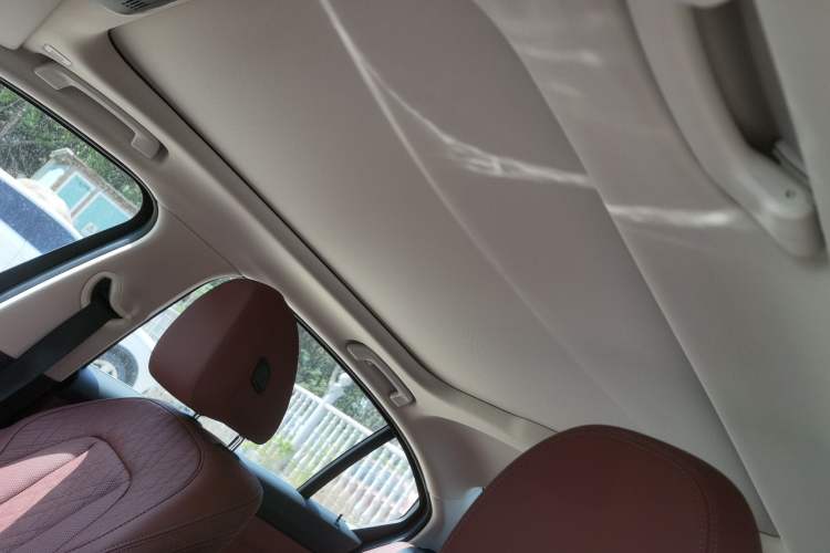 Used BMW 3 Series 2024 325Li M Sport Package Headliner