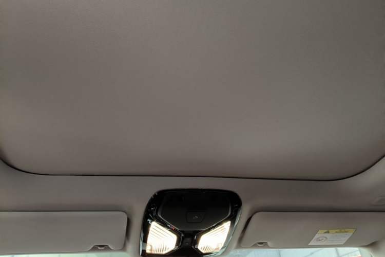 Used BMW 3 Series 2024 320Li M Sport Package Headliner