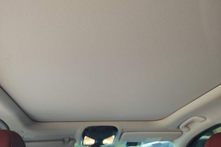 Used BMW 3 Series 2024 320Li M Sport Package Headliner