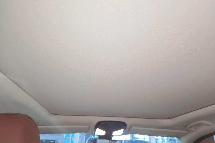 Used BMW 3 Series 2024 325Li M Sport Night Edition Package Headliner