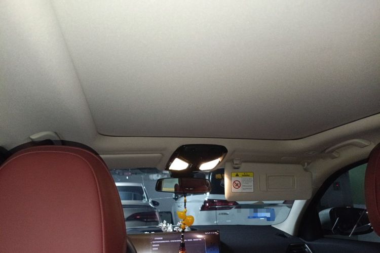 Used BMW 3 Series 2024 325Li M Sport Package Headliner