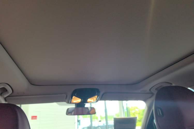 Used BMW 3 Series 2024 320Li M Sport Package Headliner