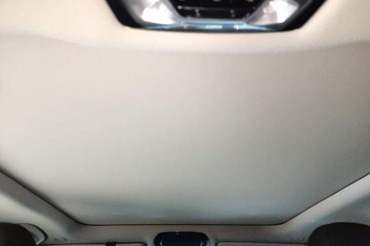 Used BMW 3 Series 2024 325Li M Sport Package Headliner