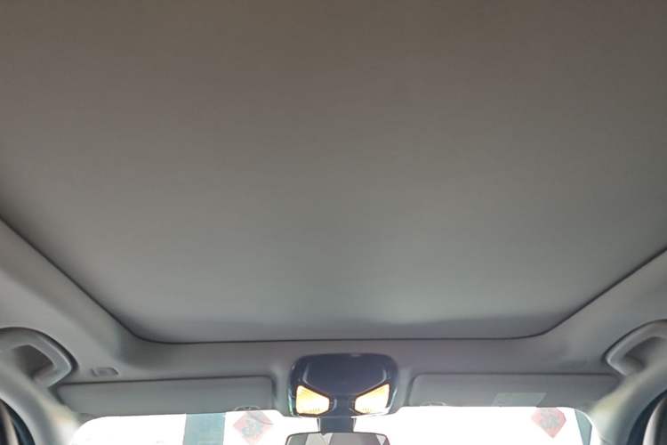 Used BMW 3 Series 2024 320Li M Sport Package Headliner