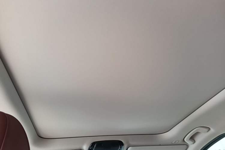 Used BMW 3 Series 2024 325Li M Sport Package Headliner