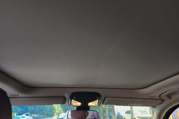 Used BMW 3 Series 2024 325Li M Sport Package Headliner