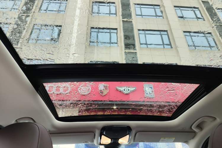 Used BMW 3 Series 2024 325Li M Sport Package Headliner