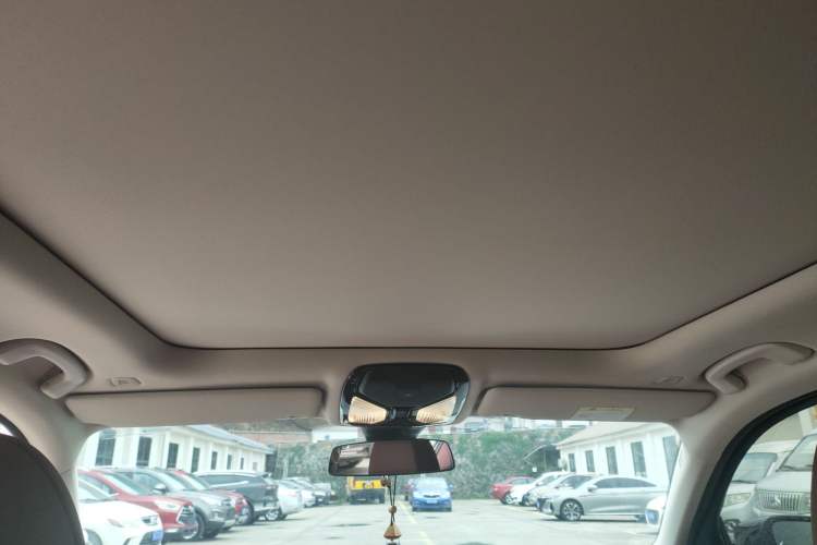 Used BMW 3 Series 2024 325Li M Sport Night Edition Package Headliner