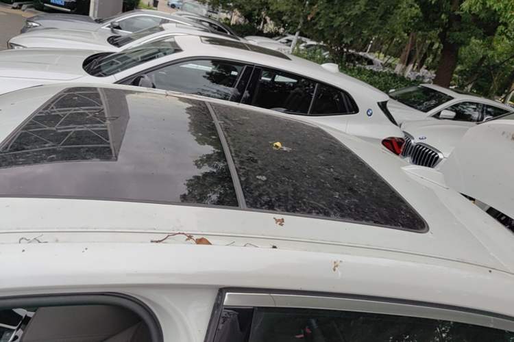 Used BMW 3 Series 2024 320Li M Sport Package Roof