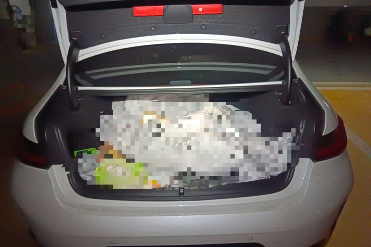 Used BMW 3 Series 2024 325Li M Sport Package Trunk