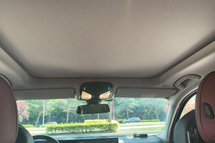 Used BMW 3 Series 2025 330Li M Sport Shadowline Package Headliner