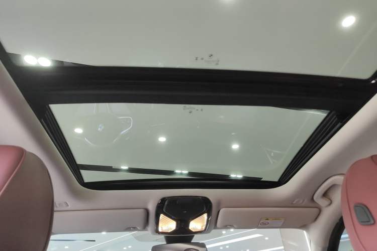 Used BMW 3 Series 2025 325Li M Sport Package Headliner