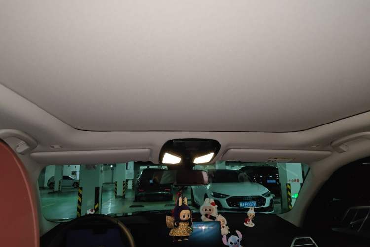 Used BMW 3 Series 2025 325Li M Sport Package Headliner