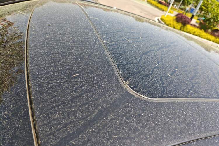 Used BMW 3 Series 2025 330Li M Sport Shadowline Package Roof