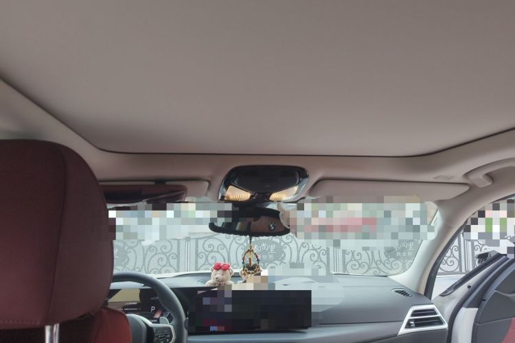Used BMW 3 Series 2025 325Li M Sport Package Headliner