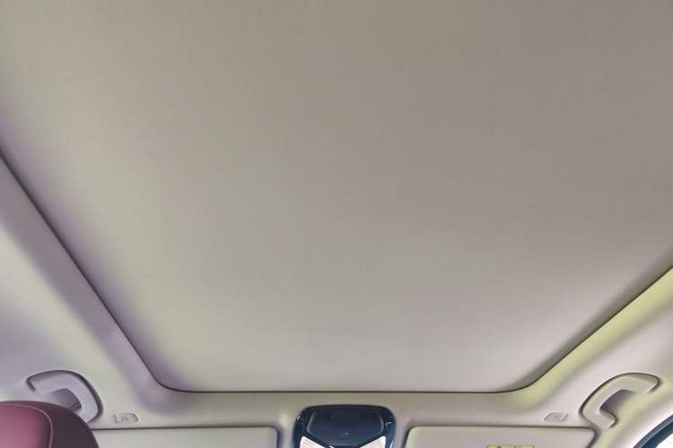Used BMW 3 Series 2025 330Li M Sport Shadowline Package Headliner