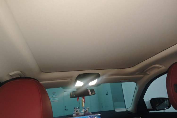 Used BMW 3 Series 2026 325Li M Sport Package Headliner