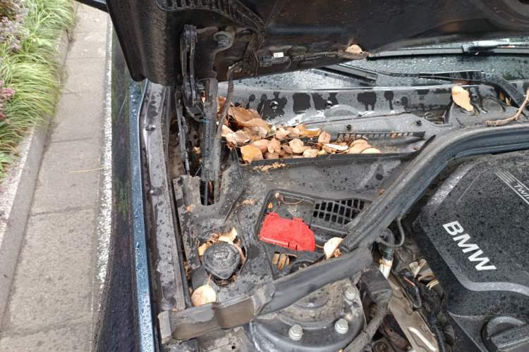 Used BMW 3 Series GT 2014 320i Leading Model Engine Bay Right
