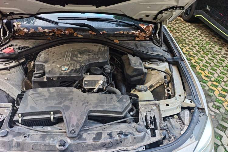 Used BMW 3 Series GT 2016 320i Fashion Model Engine Bay Left
